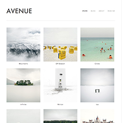 Образец сайта Avenue