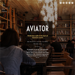 Образец сайта Aviator