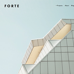 Образец сайта Forte